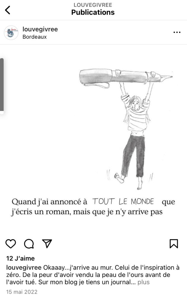 Illustration blog Instagram La Louve Givrée, romancière Soléyne Joubert, création par Audrey Bourdin - Atelier Pieko Toulouse