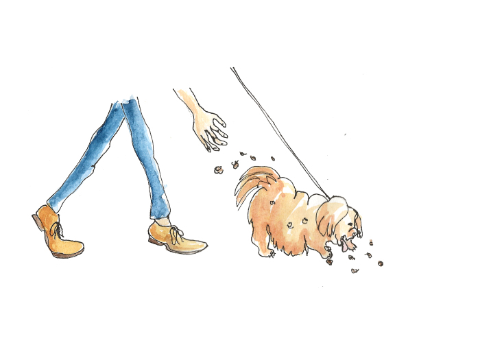 Illustration “kiki le chien” inspirée des nouvelles de Soleyne Joubert, réalisée à l’atelier Pieko par Audrey Bourdin à Toulouse — univers graphique évocateur et narratif