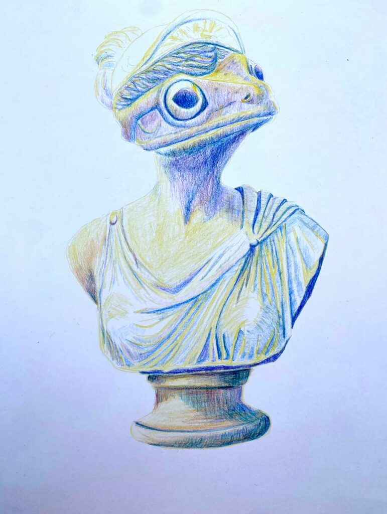 Illustration d'un buste de grenouille aux crayons de couleur, réalisée par Audrey Bourdin de l'Atelier Pieko