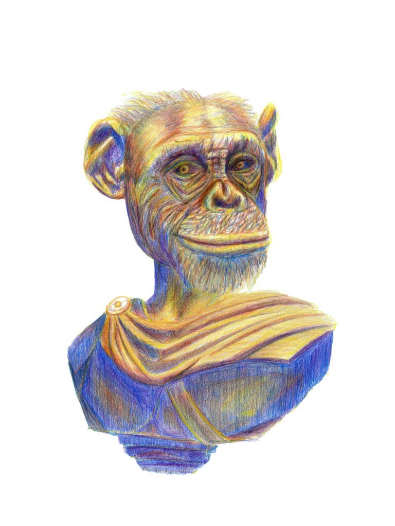 Illustration d'un buste de singe aux crayons de couleur, réalisée par Audrey Bourdin de l'Atelier Pieko