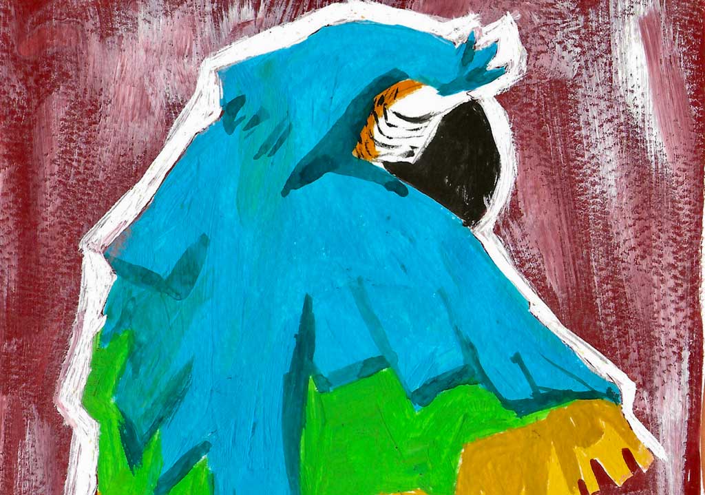 Illustration d'un perroquet, réalisée par Audrey Bourdin de l'Atelier Pieko